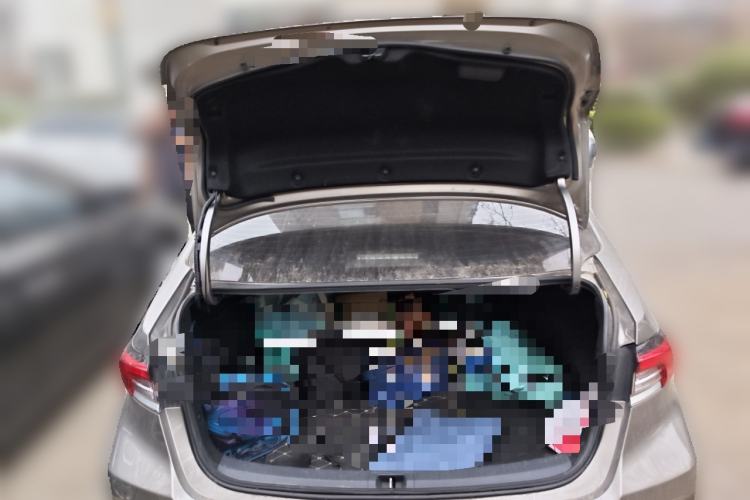 Used Toyota Corolla 2019 Dual-Engine 1.8L E-CVT GL-i Elite Edition