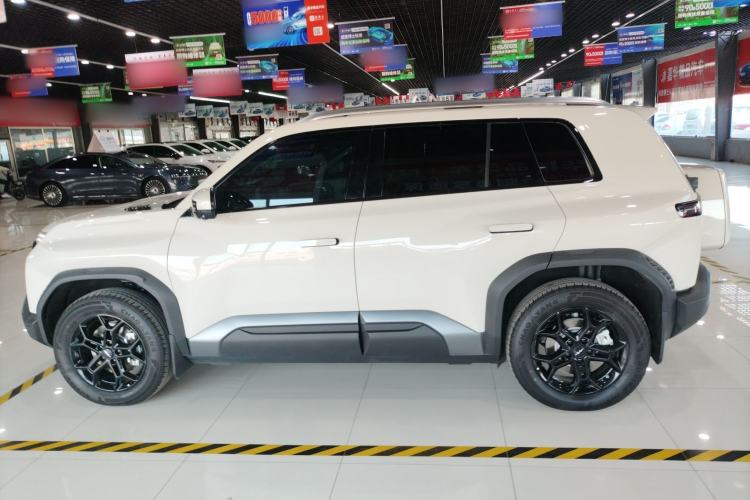 Used Formula Leopard Titanium 3 2025 501 km Range Rear-Wheel Drive Intelligent Driving Max Edition
