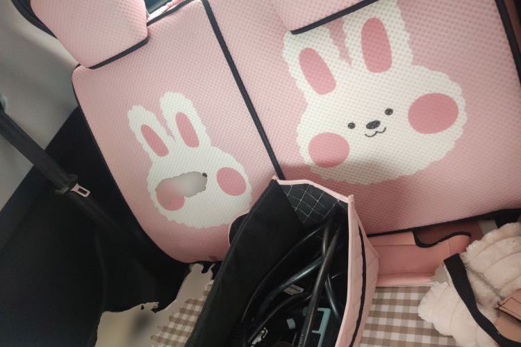 Used Chery QQ Little Ant 2022 Sweet Pink Edition Half-Sugar Version Lithium Iron Phosphate 30 kW 301 km