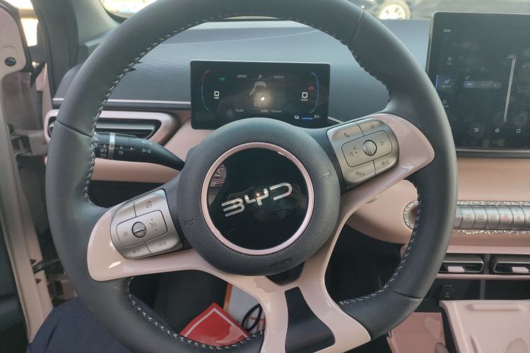 Used BYD Seagull 2025 305 km Free Version