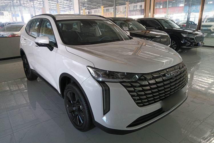 Used Haval H6 2024 1.5T Two-Wheel Drive Pro