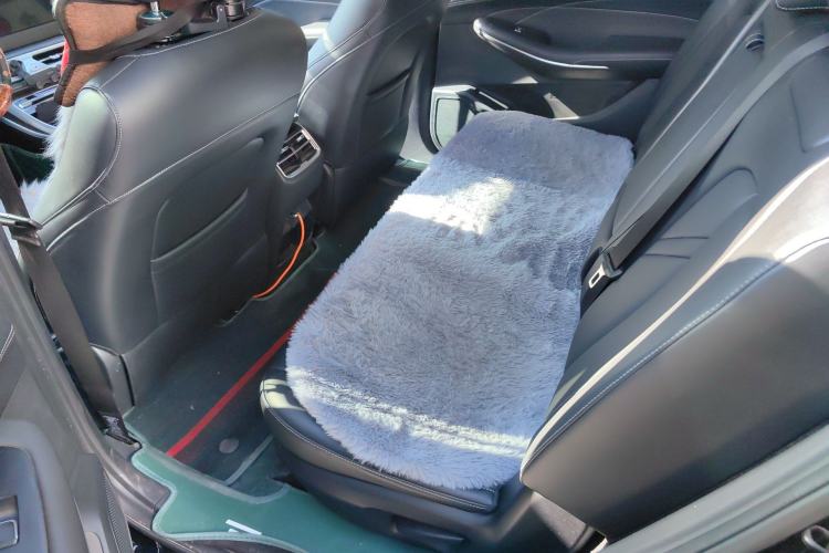 Used Landian E5 2024 Honor Edition 100KM Comfort Model 7 Seats Left Rear Seat