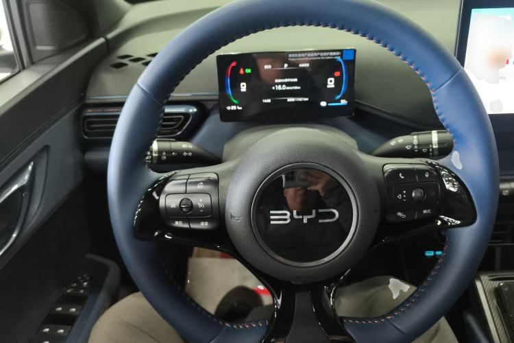 Used BYD Seagull 2025 305 km Free Version