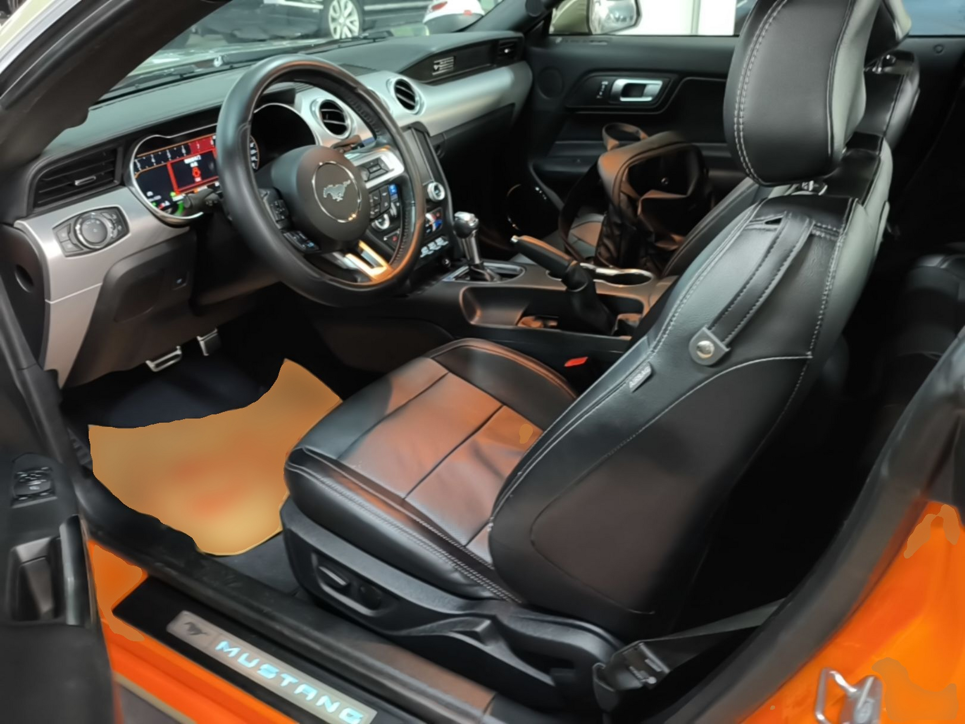 Interior delantero