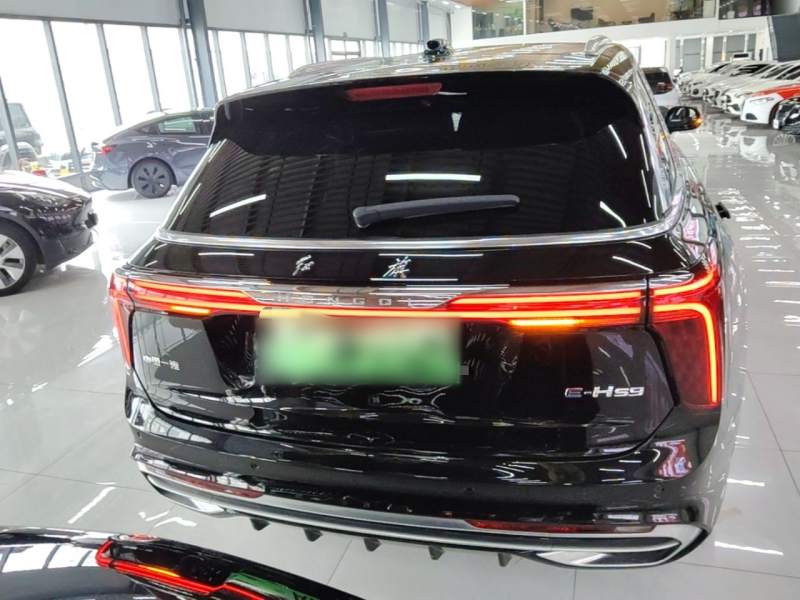 Used Hongqi E-HS9 2021 460 km Range Flagship Edition Six-Seater — 5