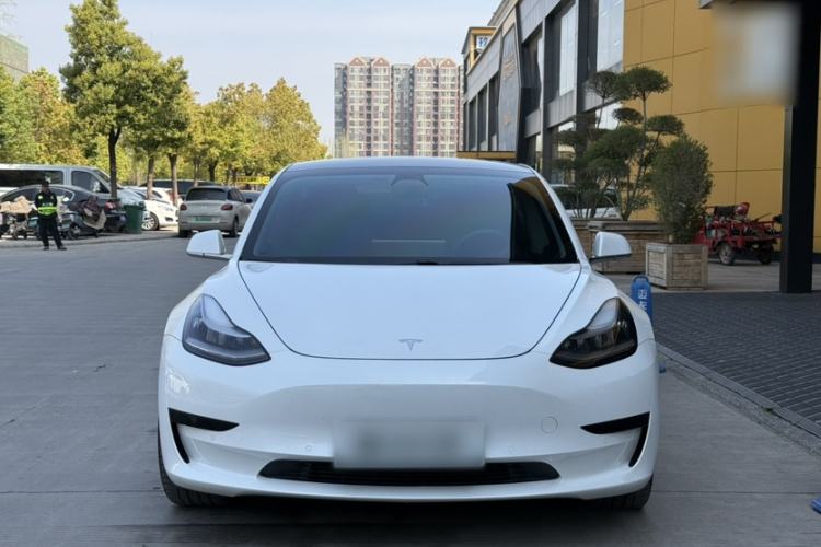 Used Tesla Model 3 2019 Standard Range Rear-Drive Upgraded Version Exterior 6