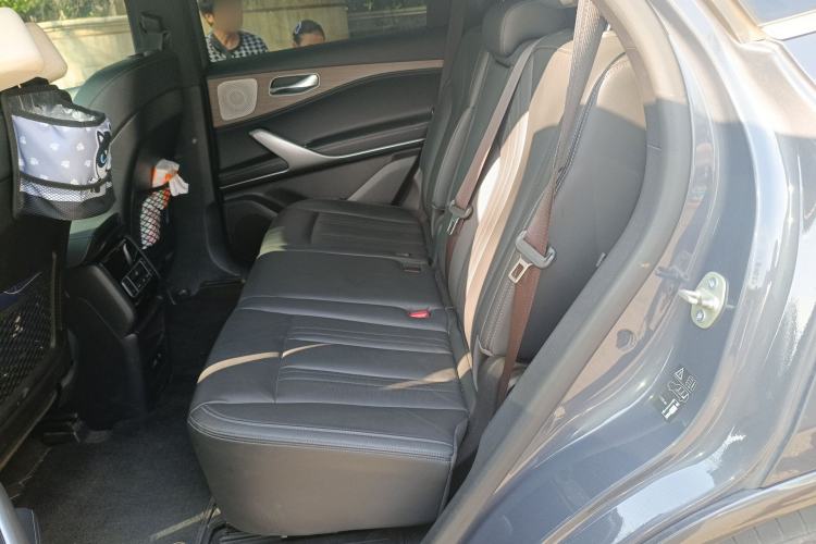 Used Denza X 2020 PHEV Flagship Edition Left Rear Seat