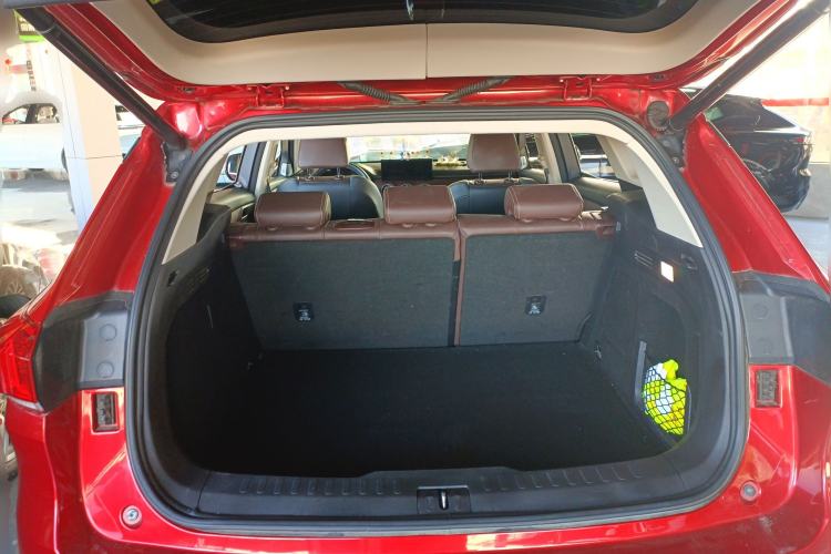 Used Wey VV6 2020 2.0T Two-Wheel Drive Smart Protection+