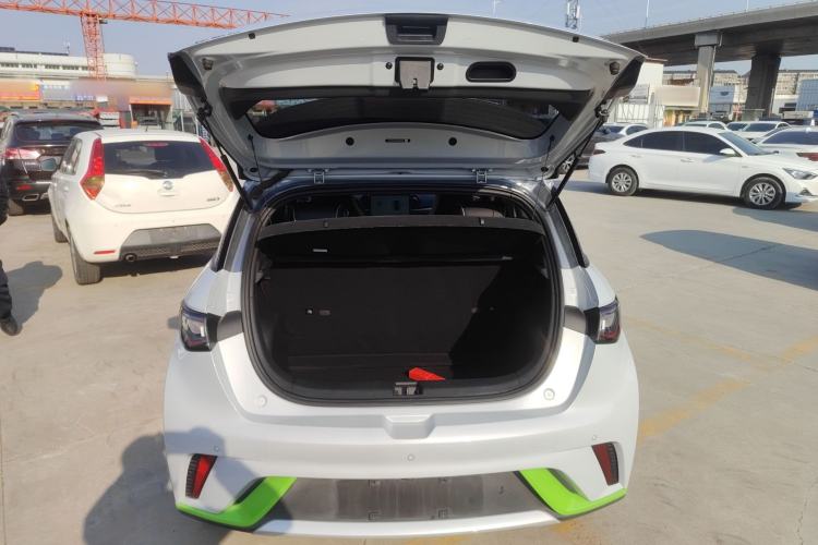 Used BYD Dolphin 2021 405 km Free Version