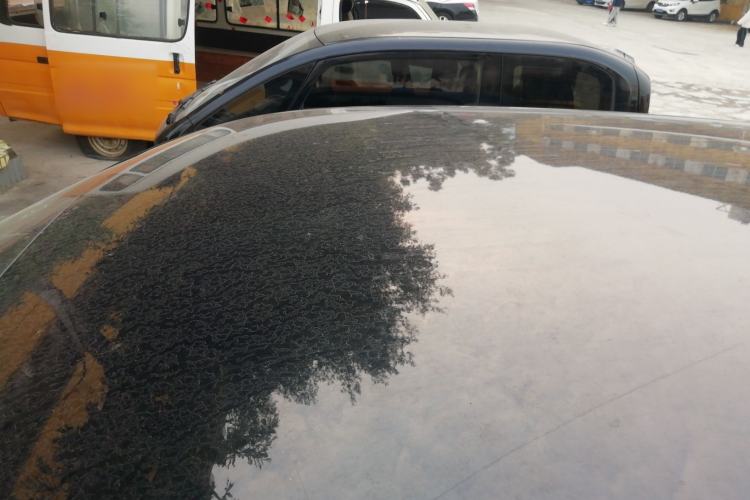 Used ORA Good Cat 2023 401 km Standard Range Luxury Version Lithium Iron Phosphate
