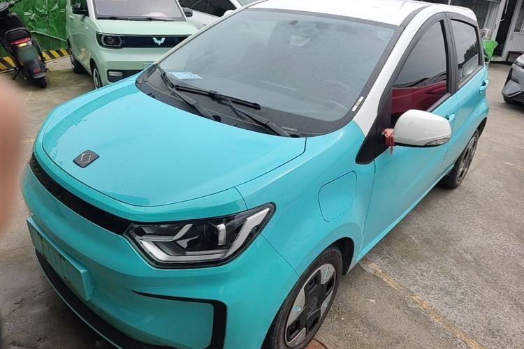 Used SOL E10X 2022 Flower Fairy Design Four-Leaf Clover