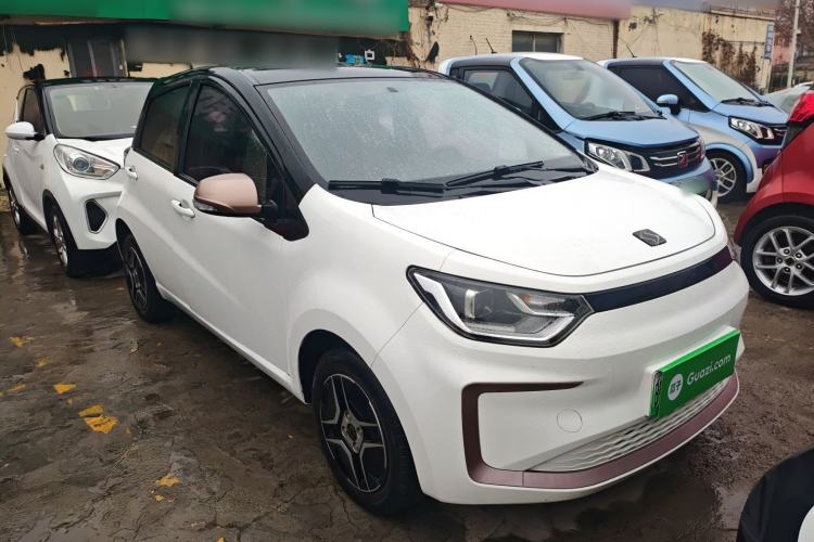 Used SOL E10X 2022 Flower Fairy Design Four-Leaf Clover Exterior 2