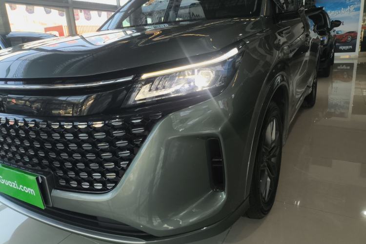 Used Landian E5 2024 Honor Edition 100KM Comfort Model 7 Seats
