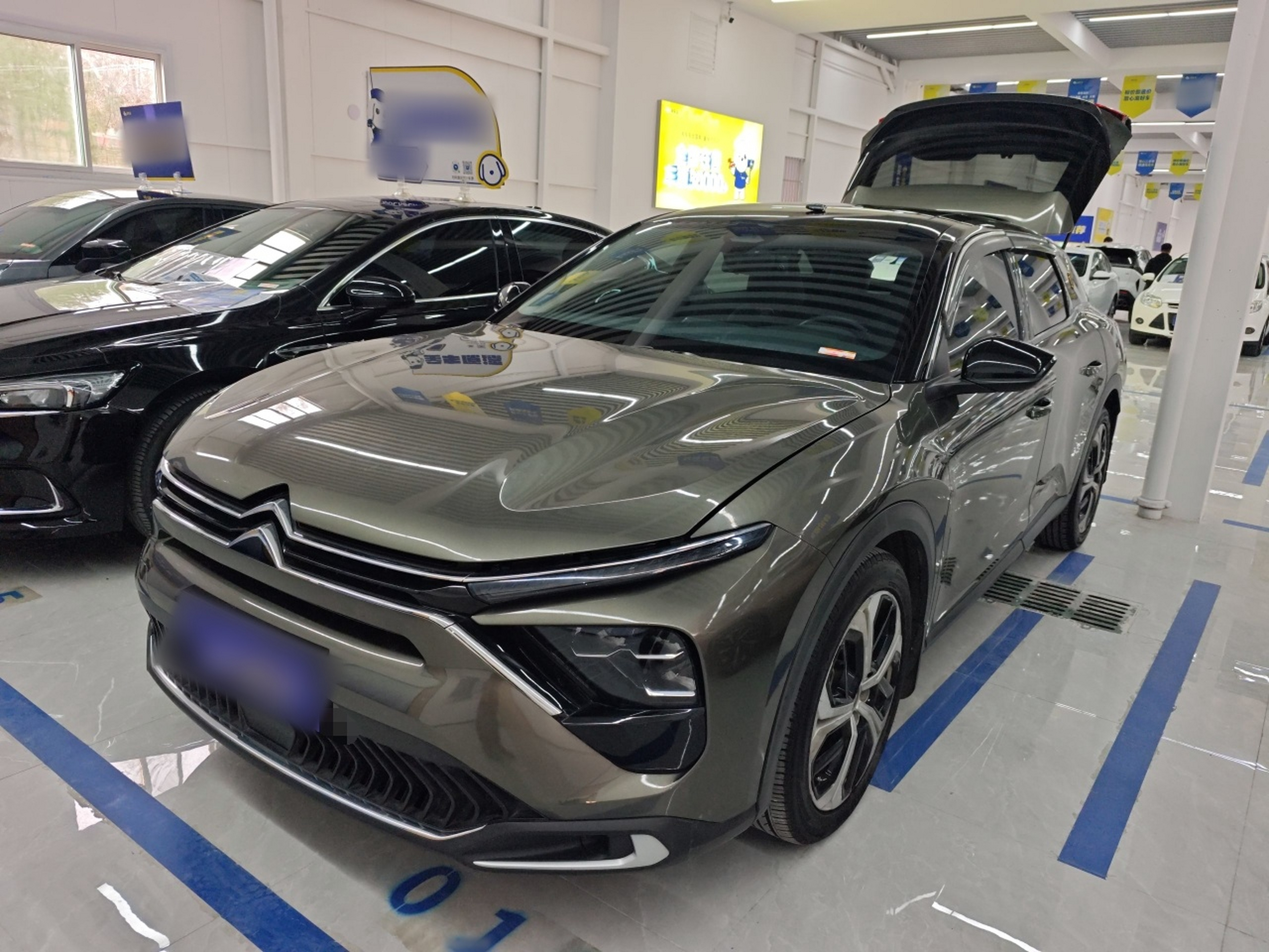 تحت مقدمة السيارة