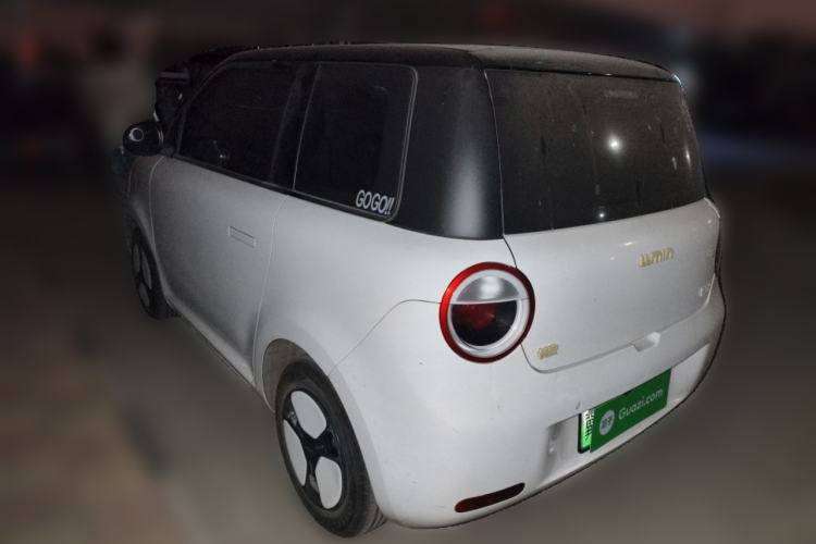Used Qiyuan Lumin 2023 205km Xiangqin Version
