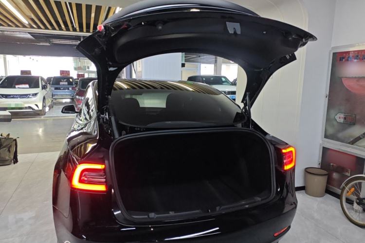 Used Tesla Model 3 2021 Performance High-Performance All-Wheel-Drive Version