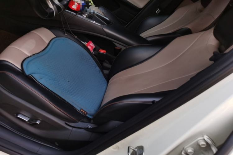 Used BYD Dolphin 2023 420 km Free Version Left Front Seat