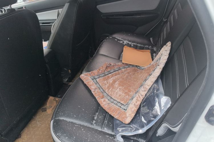 Used BAIC New Energy EC5 2019 New Style Edition Left Rear Seat