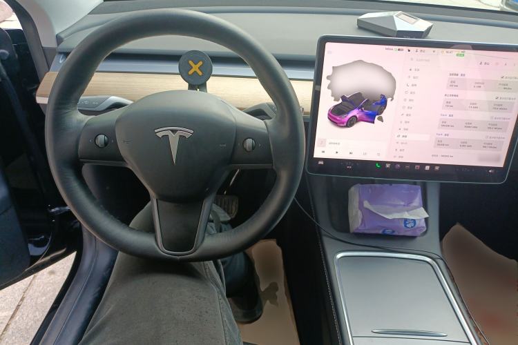 Used Tesla Model Y 2021 Standard Range Rear-Wheel Drive Version