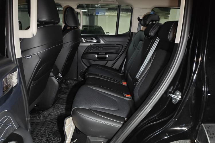 Used Tank 300 2025 2.4T Diesel Version
