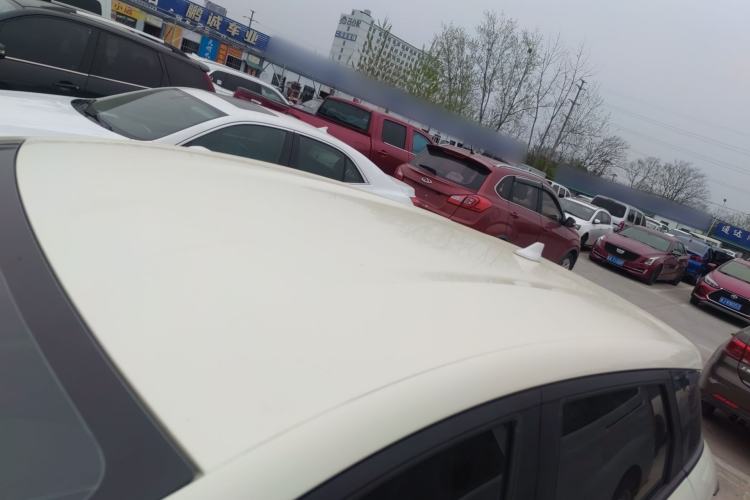 Used BYD Dolphin 2024 Honor Edition 420km Freedom Version