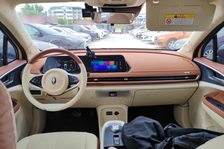 Used ORA Good Cat 2022 Morandi Edition 400km Standard Range Luxury Version Lithium Iron Phosphate Center Console