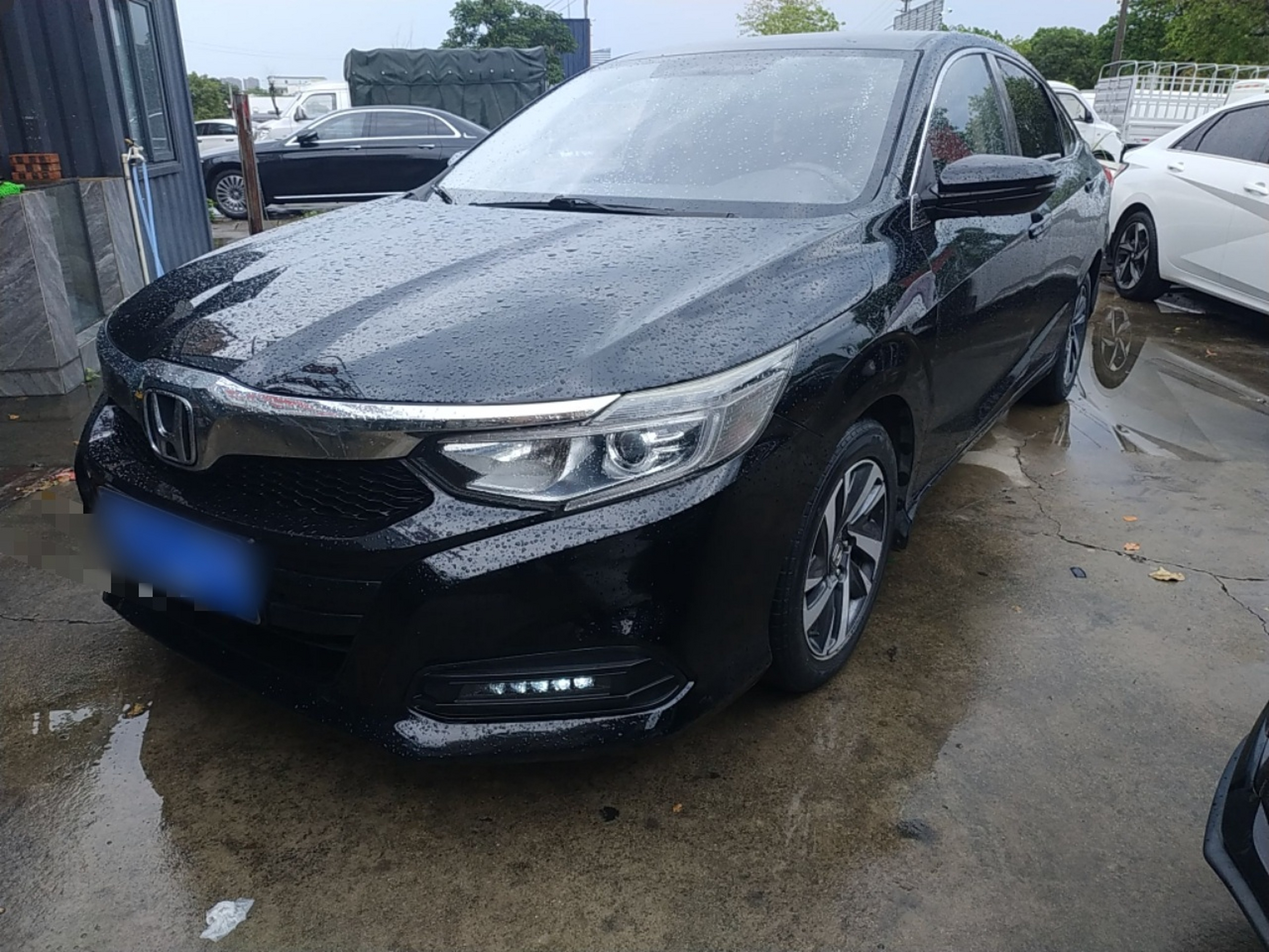 Parte inferior delantera