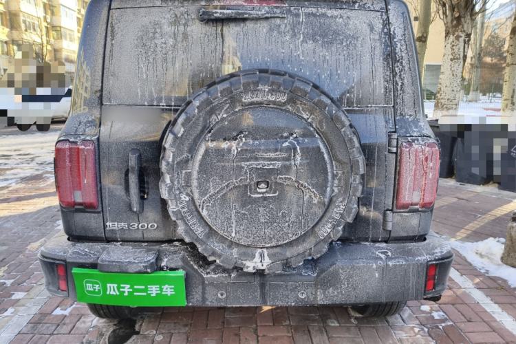 Used Tank 300 2024 2.0T Conqueror
