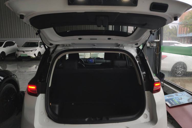 Used Dayun Yuehu 2021 Revised Version 32.85 kWh Two-Wheel Drive Sprite Edition