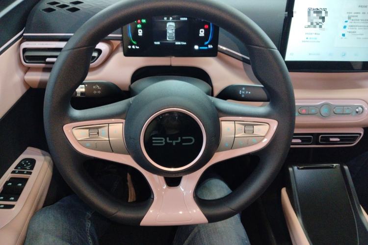 Used BYD Seagull 2025 Intelligent Driving Version 305 km Dynamic Edition
