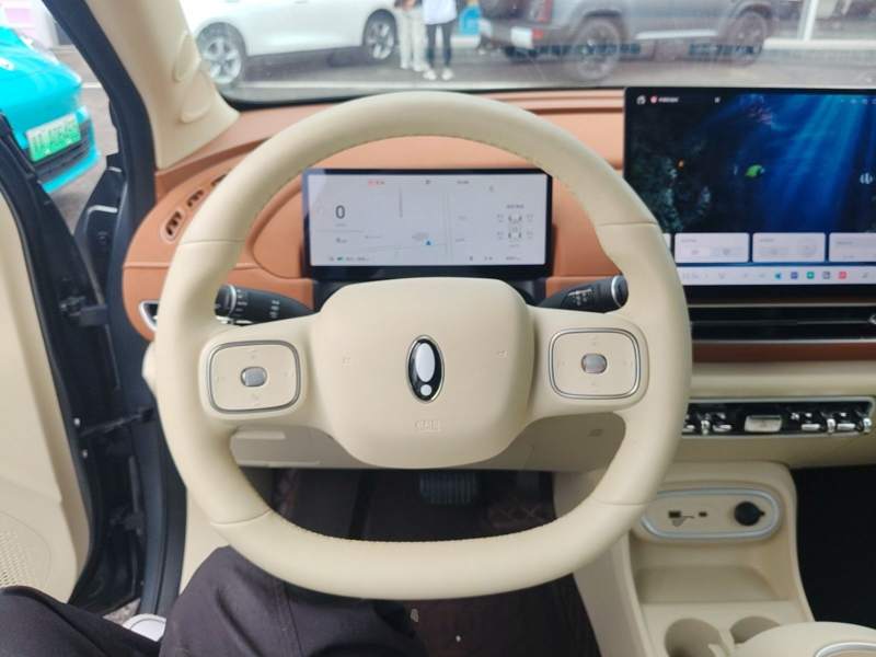 Used ORA Good Cat 2025 Model, 430 km Prestige Version — 11