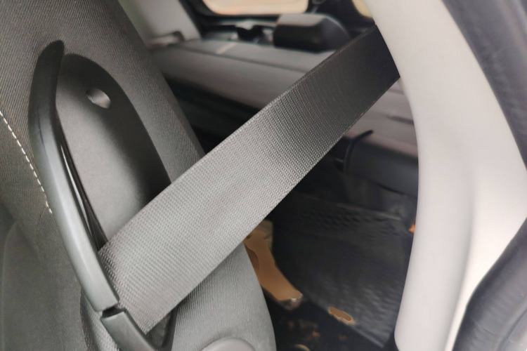 Used smart fortwo 2019 0.9T 66kW Hardtop Wind Power Edition China VI
