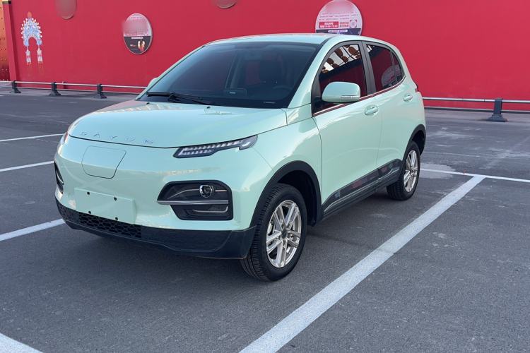 Used Dayun Yuehu 2022 30.66 kWh Two-Wheel Drive Standard Version