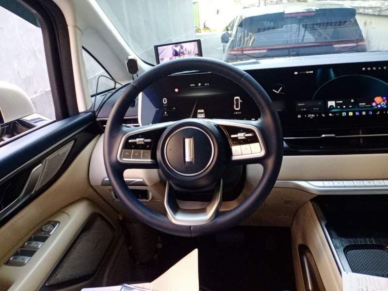 Used Wey Gaoshan 2023 Four-Wheel Drive Flagship Edition — 6