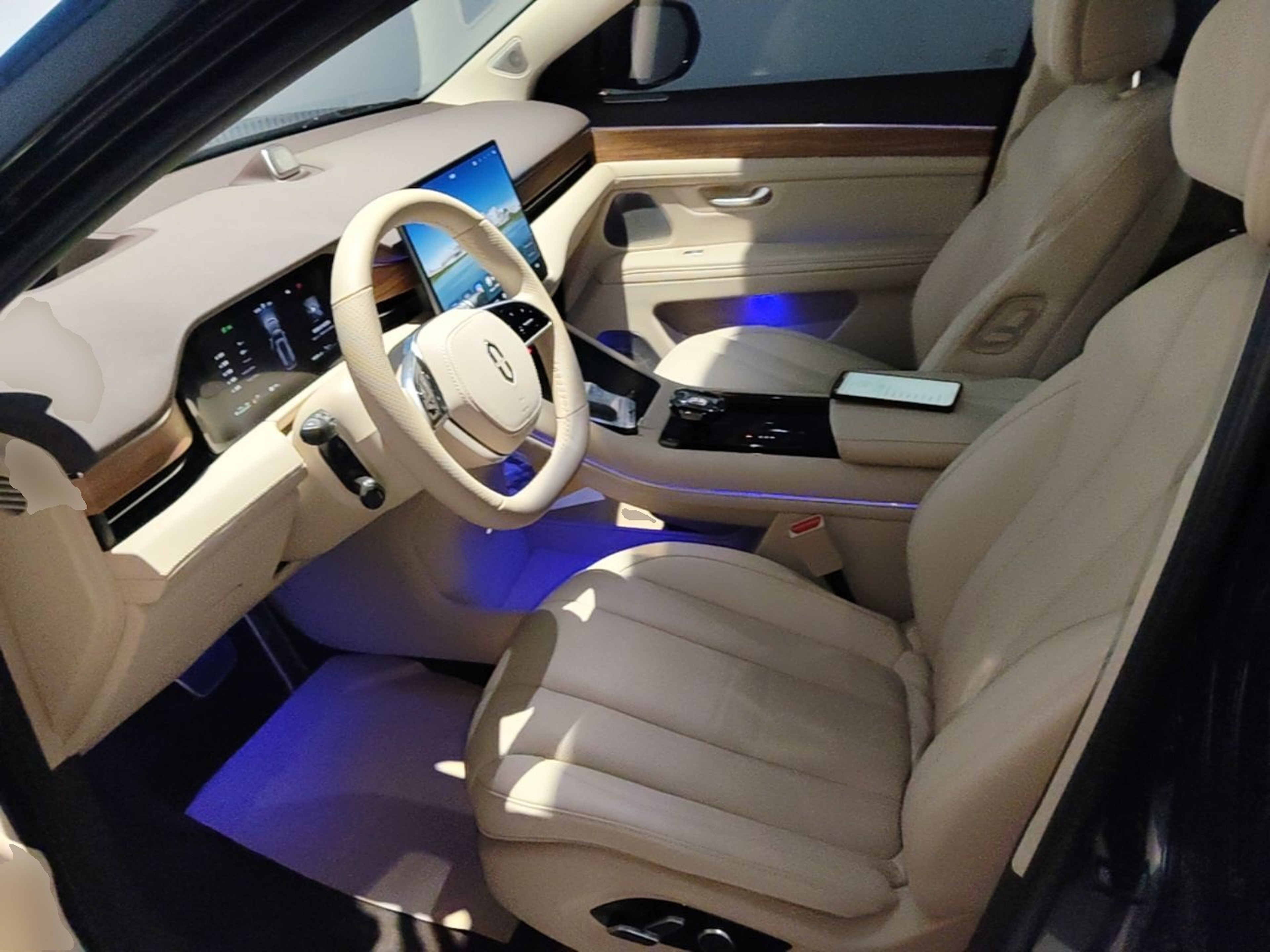 Interior delantero