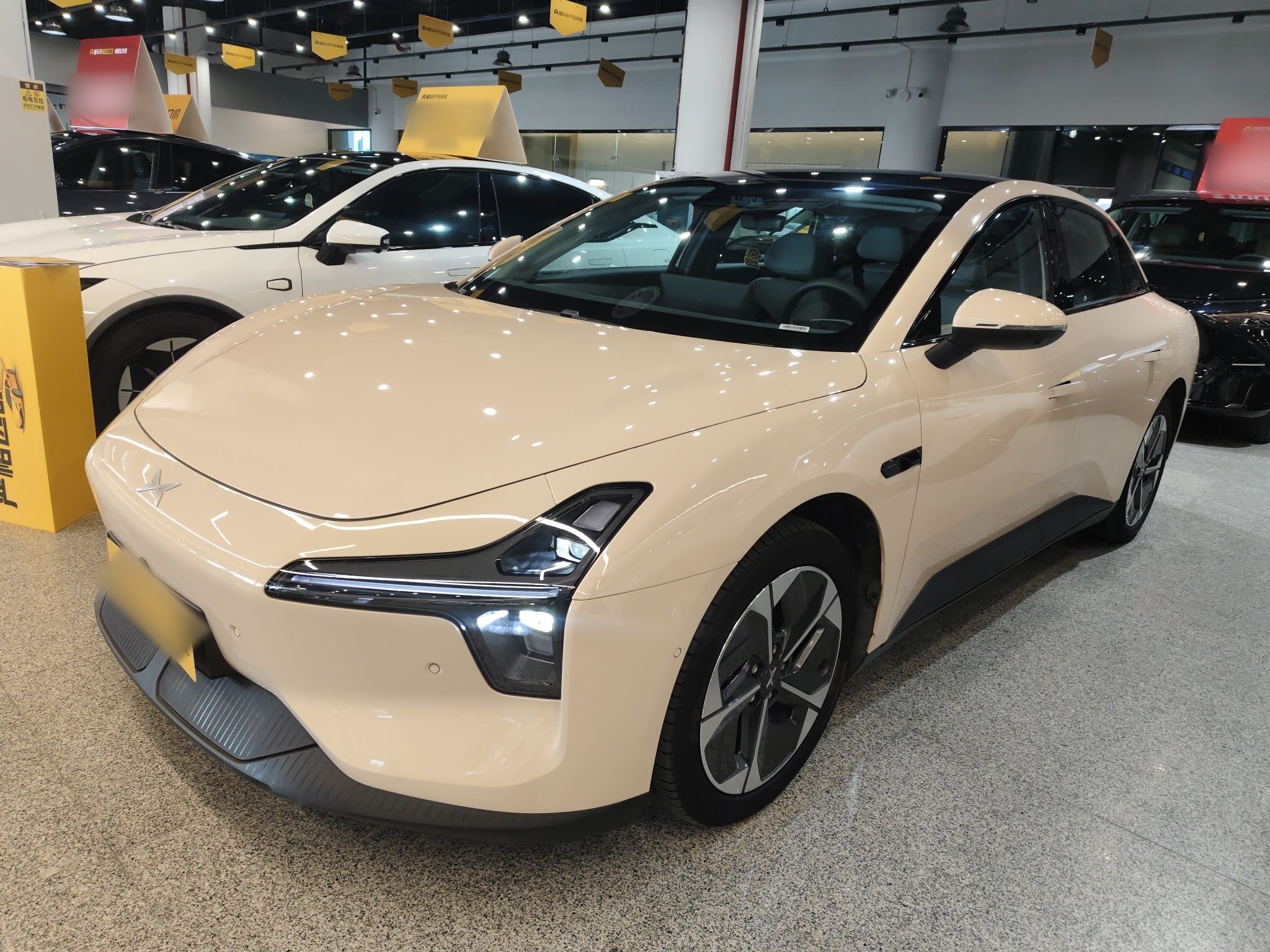 Parte inferior delantera