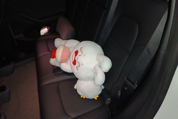 Used Tesla Model Y 2021 Standard Range Rear-Wheel Drive Version Left Rear Seat