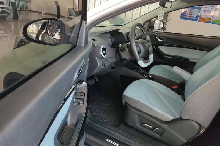 Used Chery Little Ant 2023 251km True Love Edition Lithium Iron Phosphate