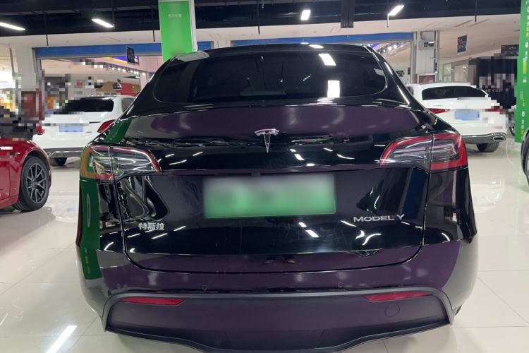 Used Tesla Model Y 2021 Standard Range Rear-Wheel Drive Version
