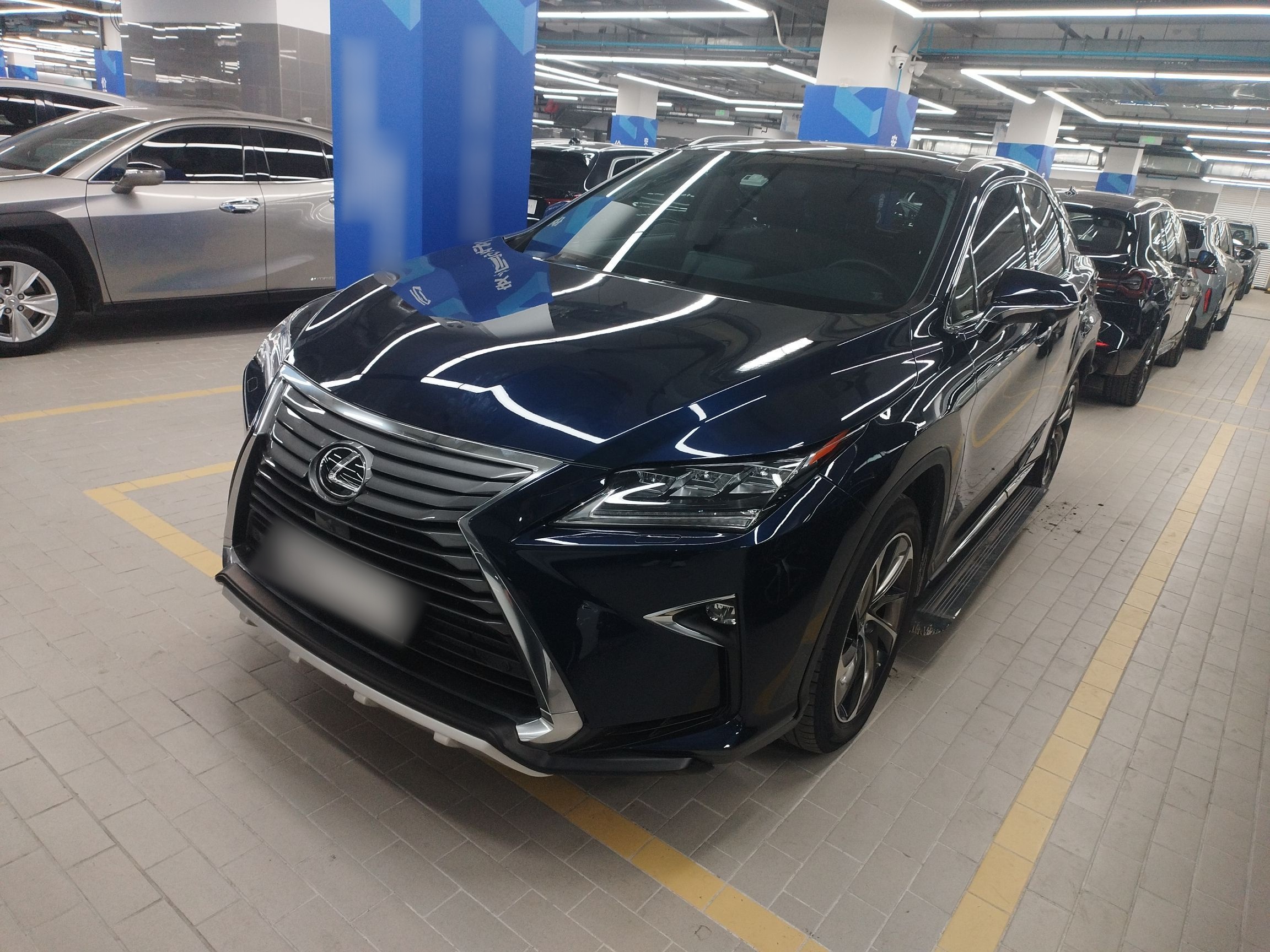 Parte inferior delantera