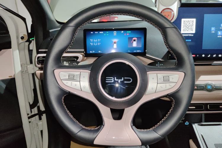 Used BYD Seagull 2025 Smart Drive Version 305 km Freedom Edition
