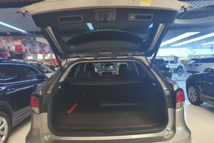 Used Lexus RX 2020 Revised Version 300 Two-Wheel Drive Elite Edition