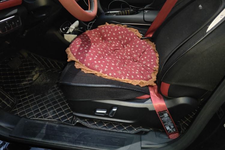 Used ORA Good Cat GT 2023 Mulan Edition 401km Luxury Version