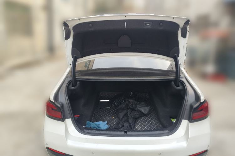 Used BMW 5 Series 2021 530Li Leading Model M Sport Package
