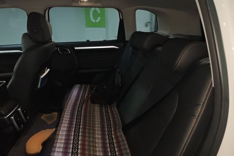 Used Haval DARGO 2022 1.5T DCT Two-Wheel Drive Border Collie Edition Left Rear Seat