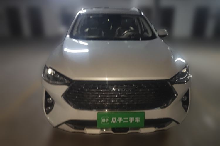 Used Haval F7 2020 2.0T Two-Wheel Drive i-Van