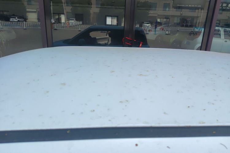 Used CHANGAN NEVO Lumin 2023 205km Xiangqin Version