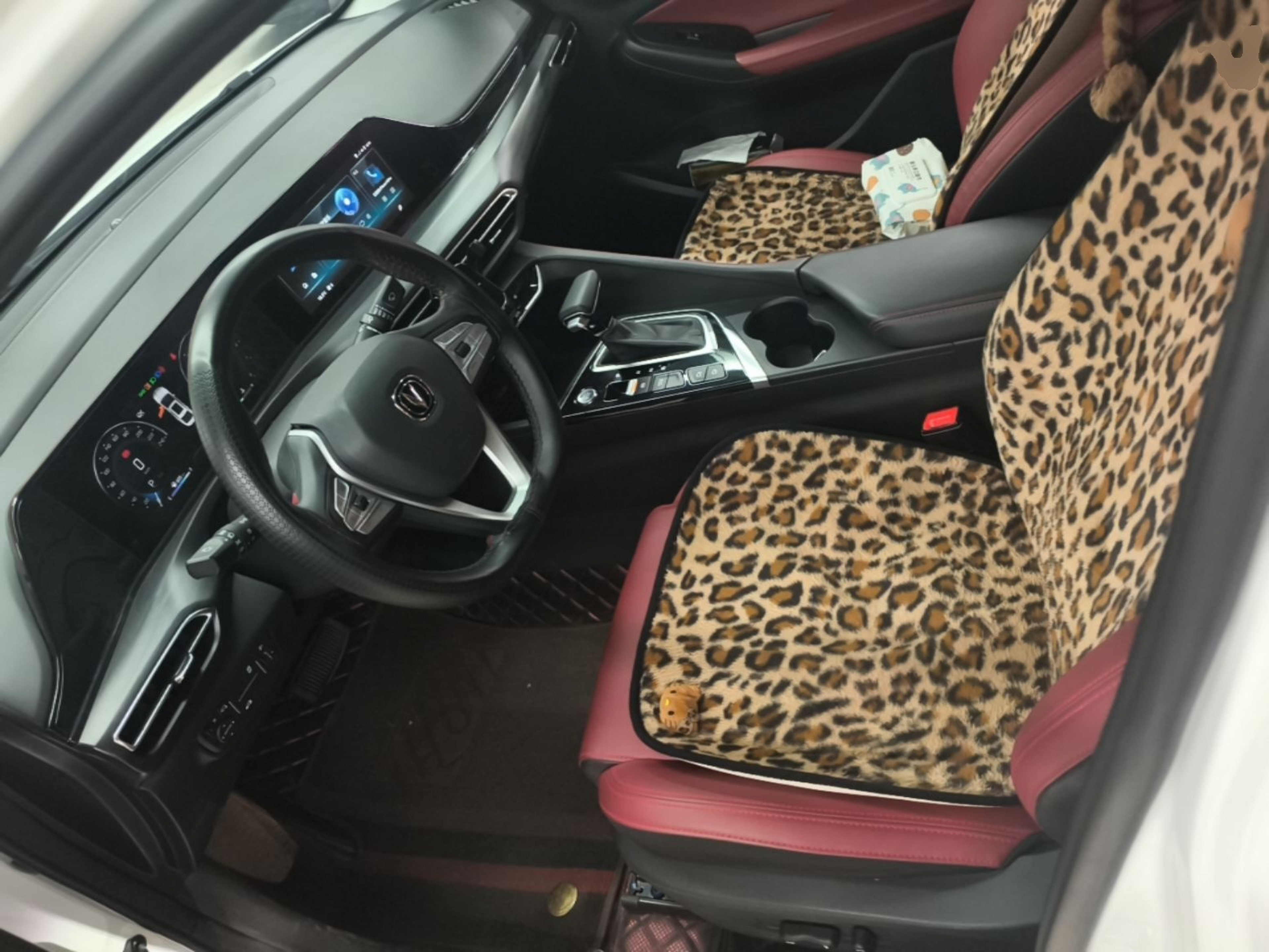Interior delantero