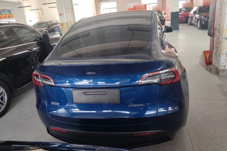 Used Tesla Model Y 2021 Standard Range Rear-Wheel Drive Version
