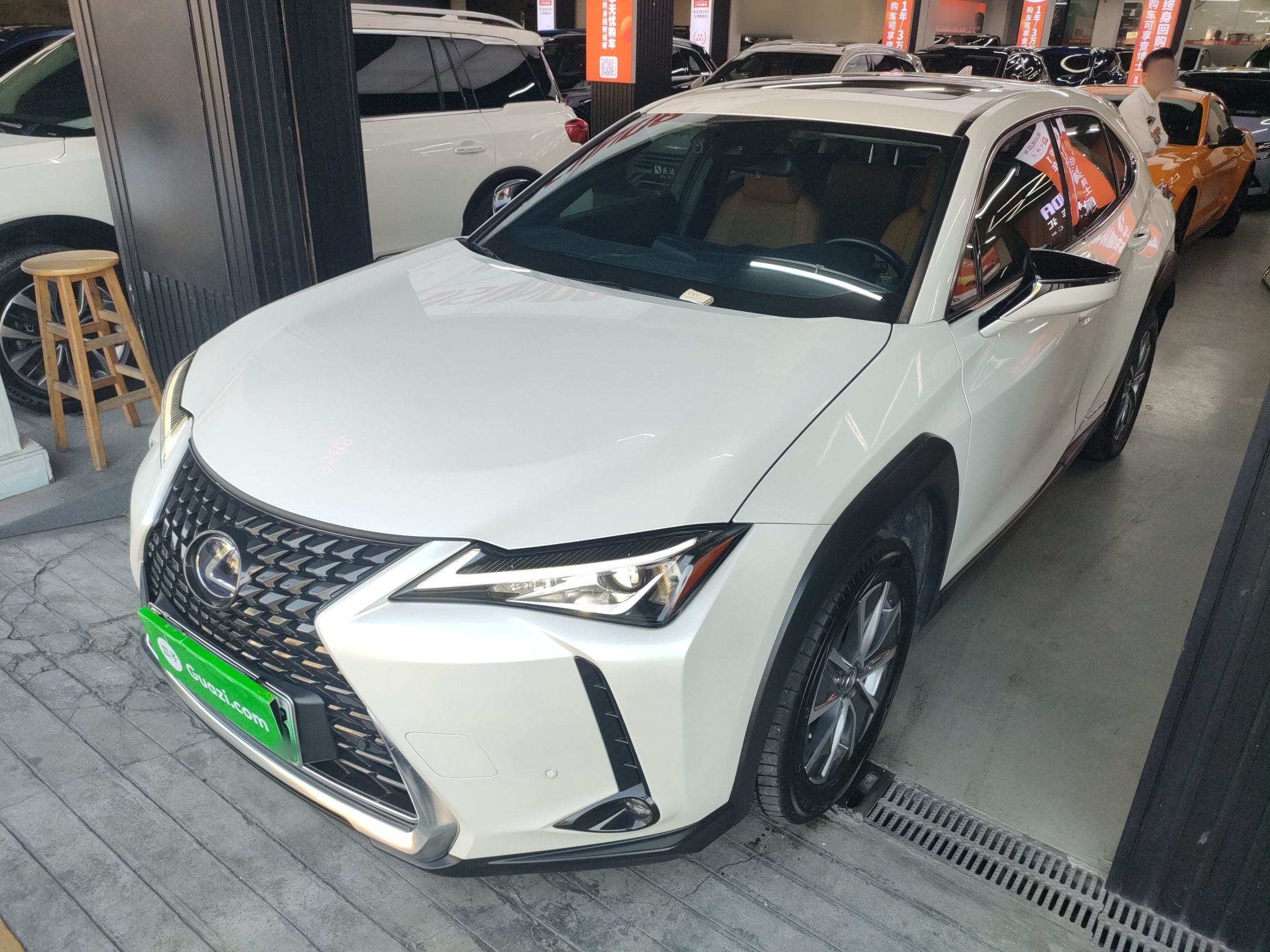 تحت مقدمة السيارة